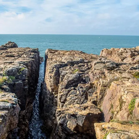 Agreable Face Aux Sables-d'olonne, Animaux Acceptes - Fr-1-92-907