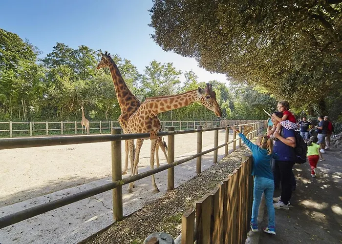 Agreable Face Aux Sables-d'olonne, Animaux Acceptes - Fr-1-92-907 *