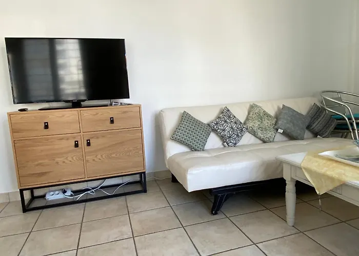 Agreable Face Aux Sables-d'olonne, Animaux Acceptes - Fr-1-92-907