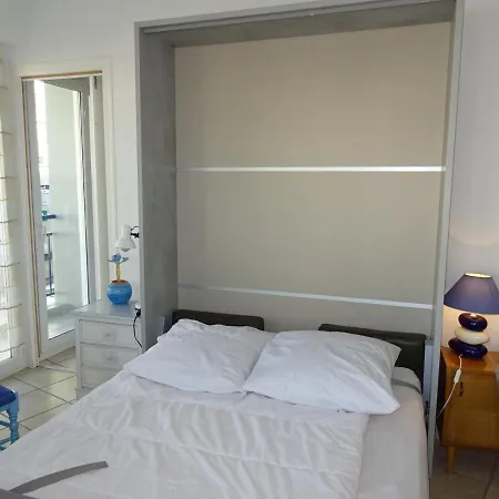 Agreable Face Aux Sables-d'olonne, Animaux Acceptes - Fr-1-92-907 *