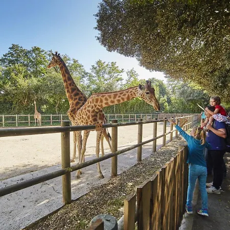 Agreable Face Aux Sables-d'olonne, Animaux Acceptes - Fr-1-92-907 *