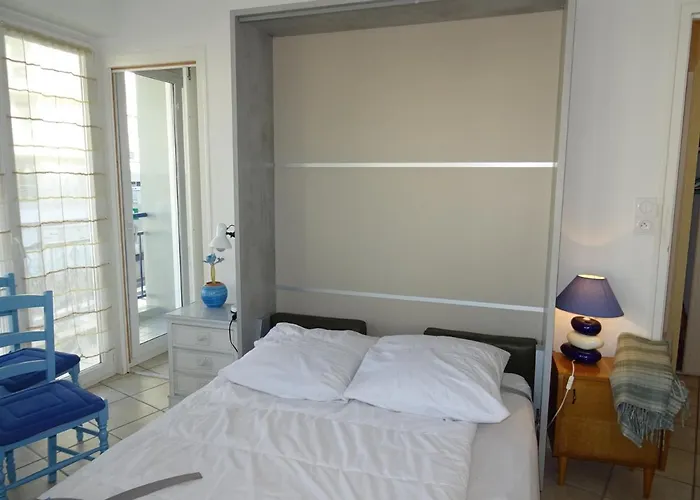 Agreable Face Aux Sables-d'olonne, Animaux Acceptes - Fr-1-92-907 *