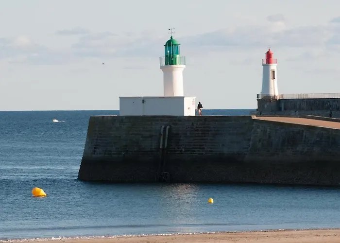 Agreable Face Aux Sables-d'olonne, Animaux Acceptes - Fr-1-92-907 * 莱萨布勒-多洛讷