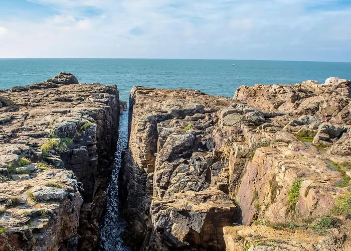 Agreable Face Aux Sables-d'olonne, Animaux Acceptes - Fr-1-92-907